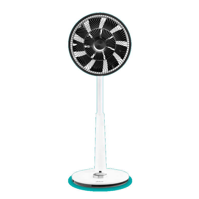 DXCF Whisper animation