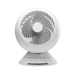Globe - thumbnail image