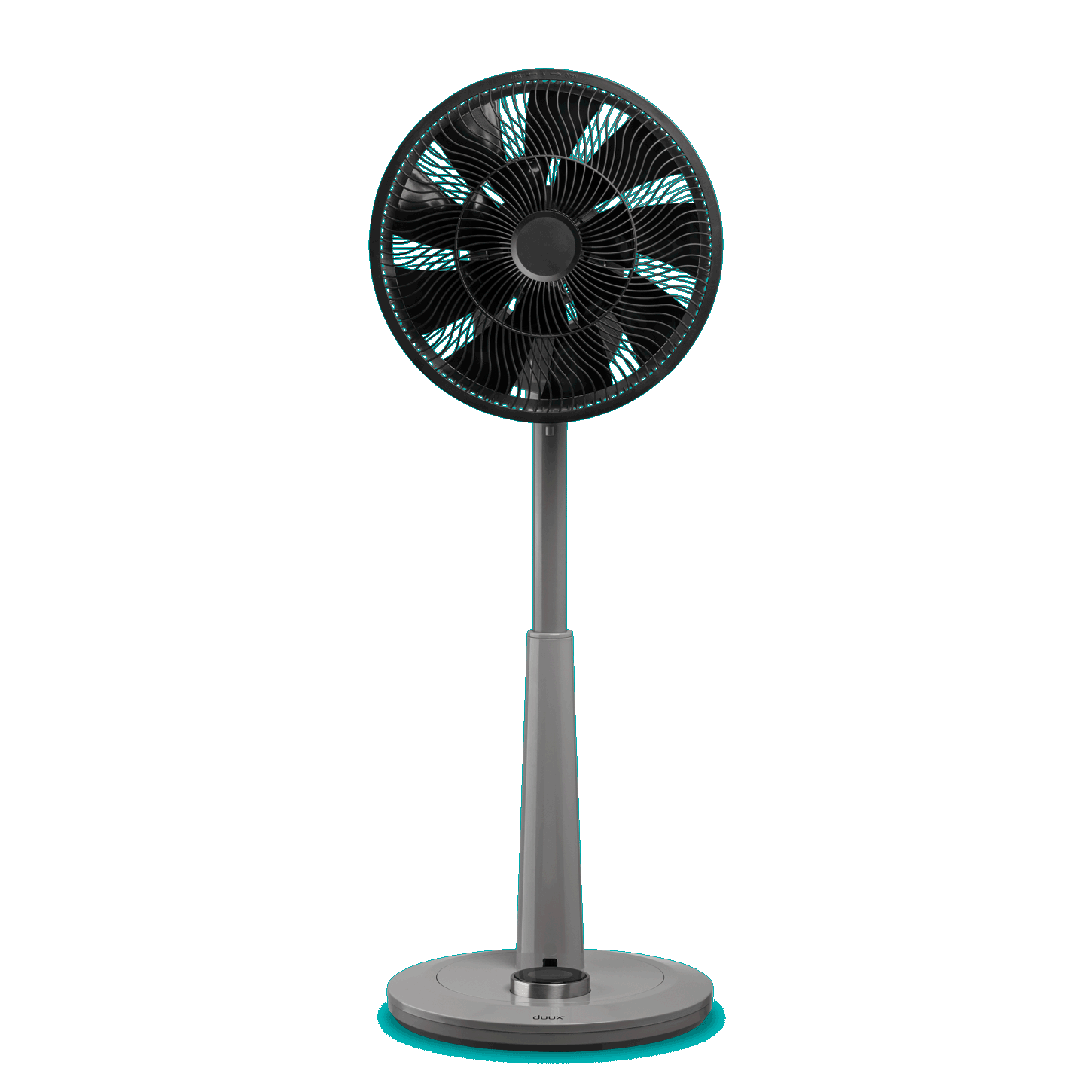 DXCF Whisper front animated