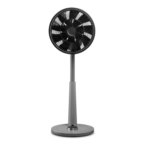 DXCF Whisper front high