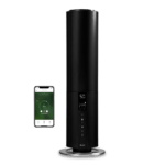 DXHU Beam  Front