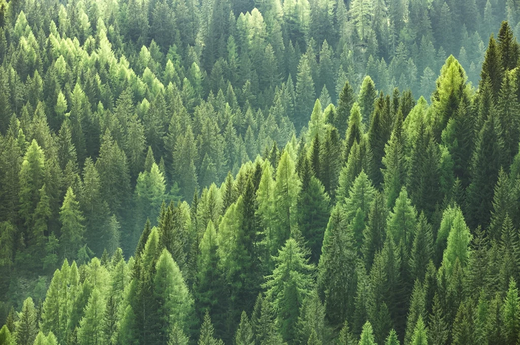 sustainability trending tile